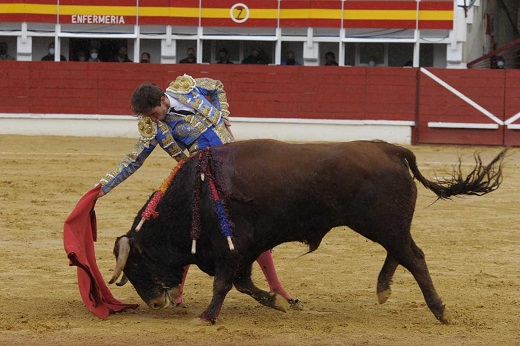 Celo del animal ante la muleta